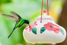 Red Sweet 8oz Hummingbird Feeder