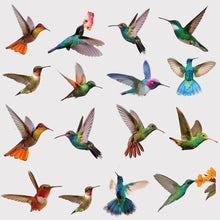 Hummingbird Window Stickers, Anti-Collision Window Clings Decals  Hummingbird Stickers Prevent Bird Strikes on Window Glass