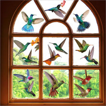 Hummingbird Window Stickers, Anti-Collision Window Clings Decals  Hummingbird Stickers Prevent Bird Strikes on Window Glass