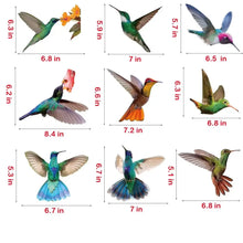 Hummingbird Window Stickers, Anti-Collision Window Clings Decals  Hummingbird Stickers Prevent Bird Strikes on Window Glass