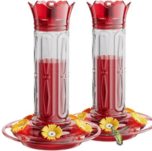 Hanging Outdoor Wild Bird Hummingbird Feeder