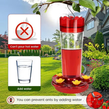 Hanging Outdoor Wild Bird Hummingbird Feeder