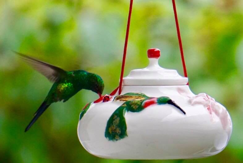 Perfect Jewel  4 oz hummingbird feeder. Our smallest design.