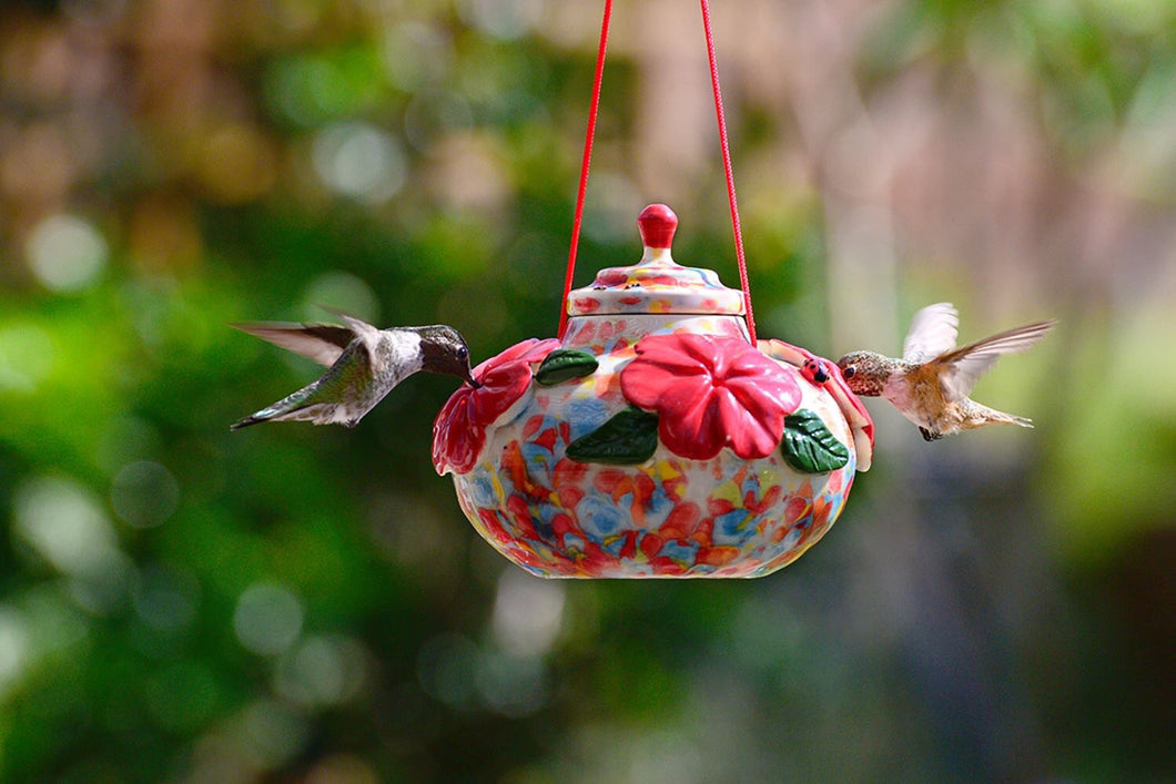 Spring Time Red Hummingbird Feeder (Art Piece)